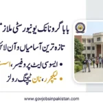 Baba Guru Nanak University Jobs