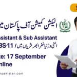 ECP Jobs 2026